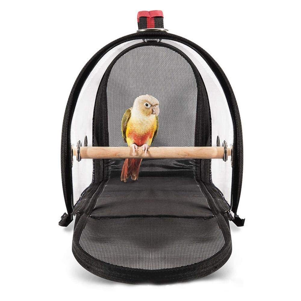 african grey travel carrier