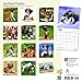 Boxer Puppies 2018 Calendar