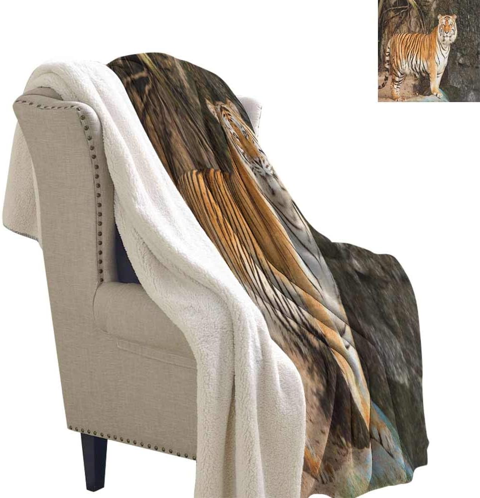 The 10 Best Sherpa Royal Tiger Print Heating Blanket