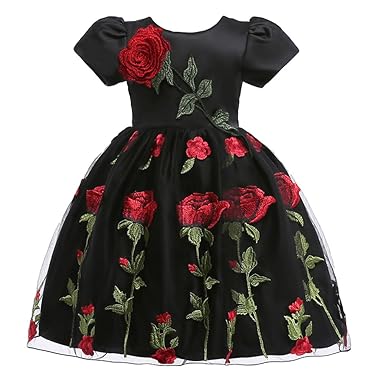 Tookang Robe Rose Brodée Fille Princesse élégant Robe De