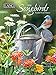 Lang Songbirds 2016 Monthly Pocket Planner by Susan Bourdet, January 2016 to January 2017, 4.25 x 6.5 Inches (1003167)