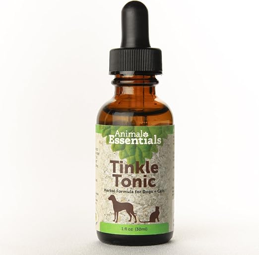 type of small breed dogs