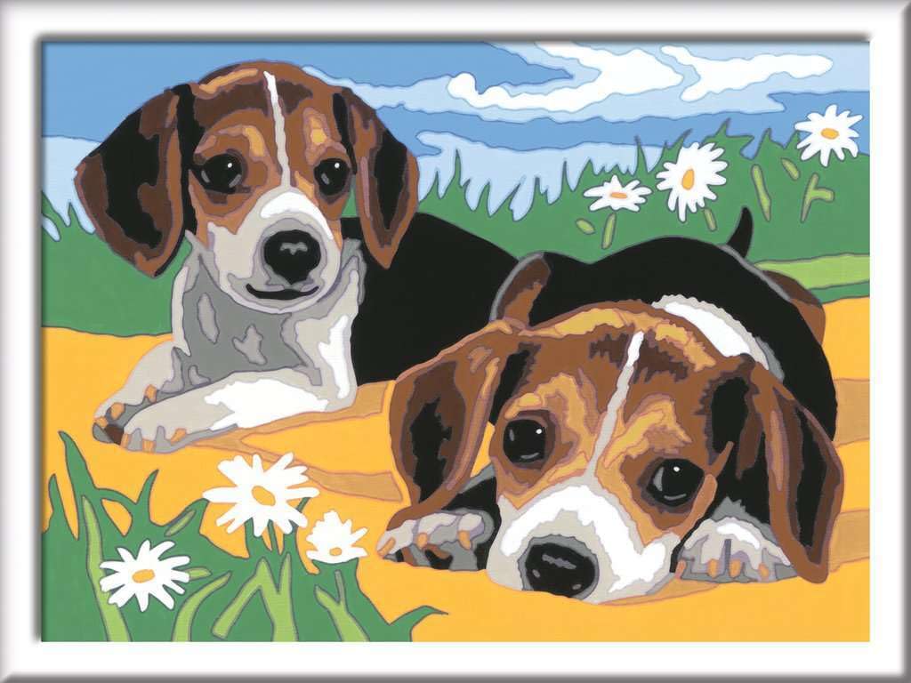 Ravensburger 283293 "Jack Russel Puppies Painting By Numbers Set