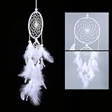 Fictory KO5F White Dream Catcher Acrylic Home Decor view 5