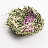 Green 5 x 2 Inch Lavender Bird Nest Tabletop Decorative Figurine