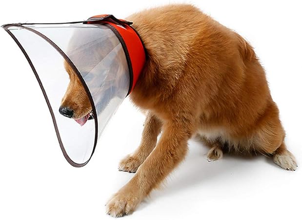clear dog cone collar