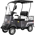 HAOWEIH Electric Golf Cart 4 Wheel Mobility Scooter for Seniors with Storage Box, Farm Load Truck for Seniors and Adults Comes, Courtesy Car (Color : Gray, Size : LITHIUM-800W+60V30AH)