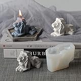 3D Abstract Lion Candle & Resin Mold - Silicone