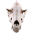 MagiDeal Wolf Jackal Skull Resin Head Skeleton Figurine Aquarium Home Decor