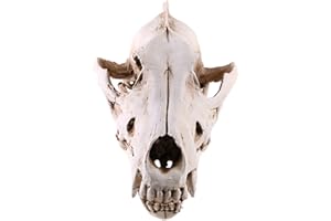 MagiDeal Wolf Jackal Skull Resin Head Skeleton Figurine Aquarium Home Decor