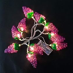 Fruit String Lights Battery Powered Indoor Outdoor