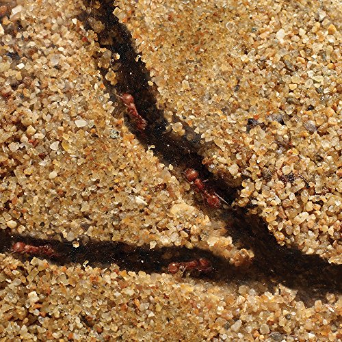 3 Educational+Insights+5145+GeoSafari+Factory