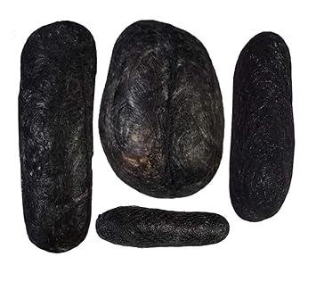 Buy Pooja Enterprises Black Sponge Natural Hair Volume Bumpit