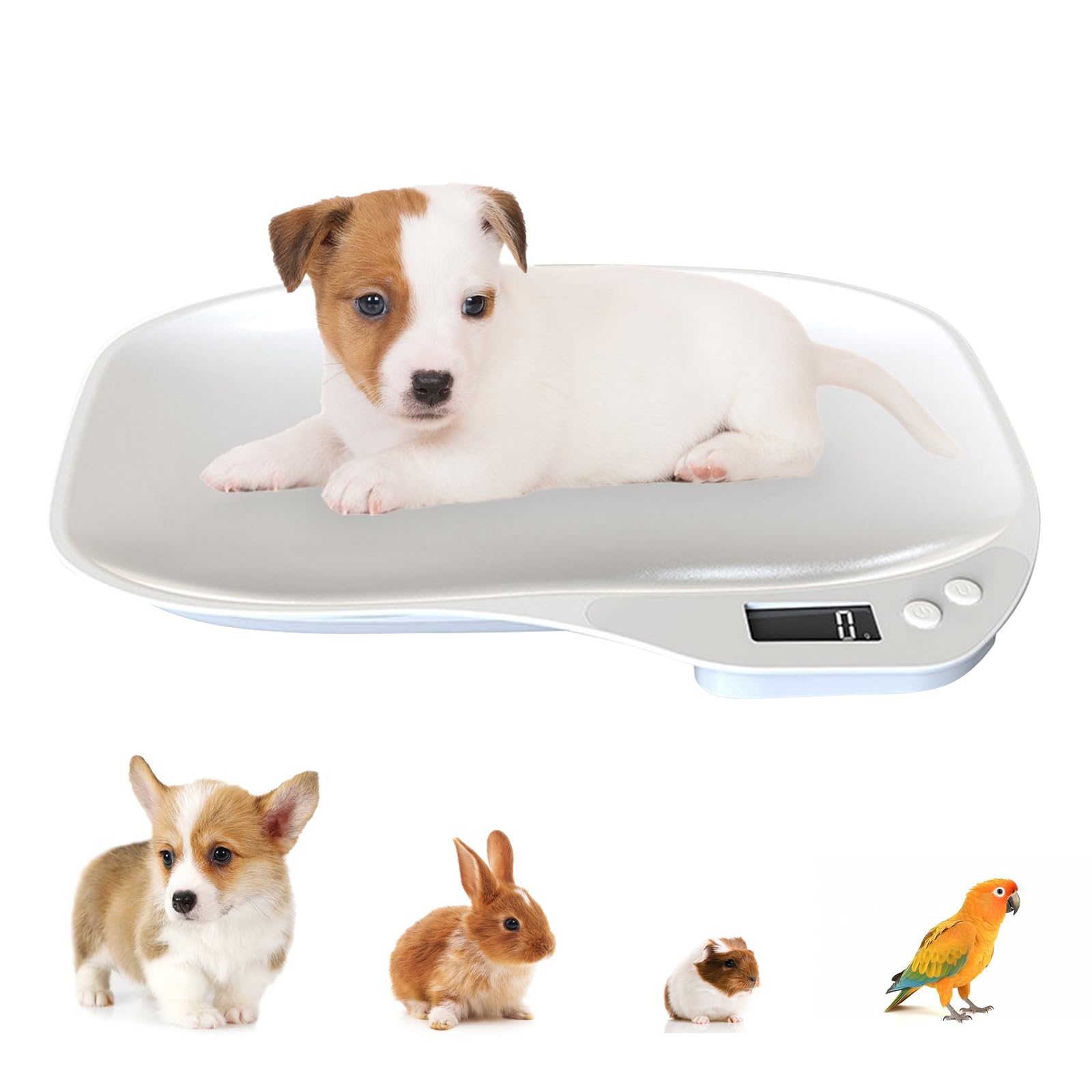 Multi-Function Digital Pet Scale for Small Animals Rabbit Hamsters Parrot,Large LCD Display Electronic Scales Weight Up to 15kg Capacity Pet Weighing Scale With Comfortable Curving Platform