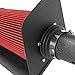 Ford F-150/Expedition Black Coated Aluminum Air Intake System