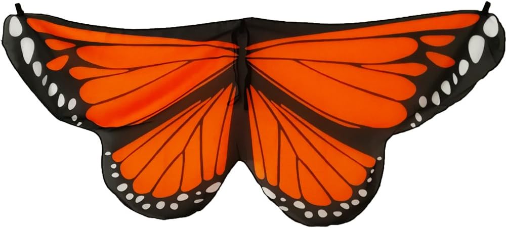 childrens butterfly costume