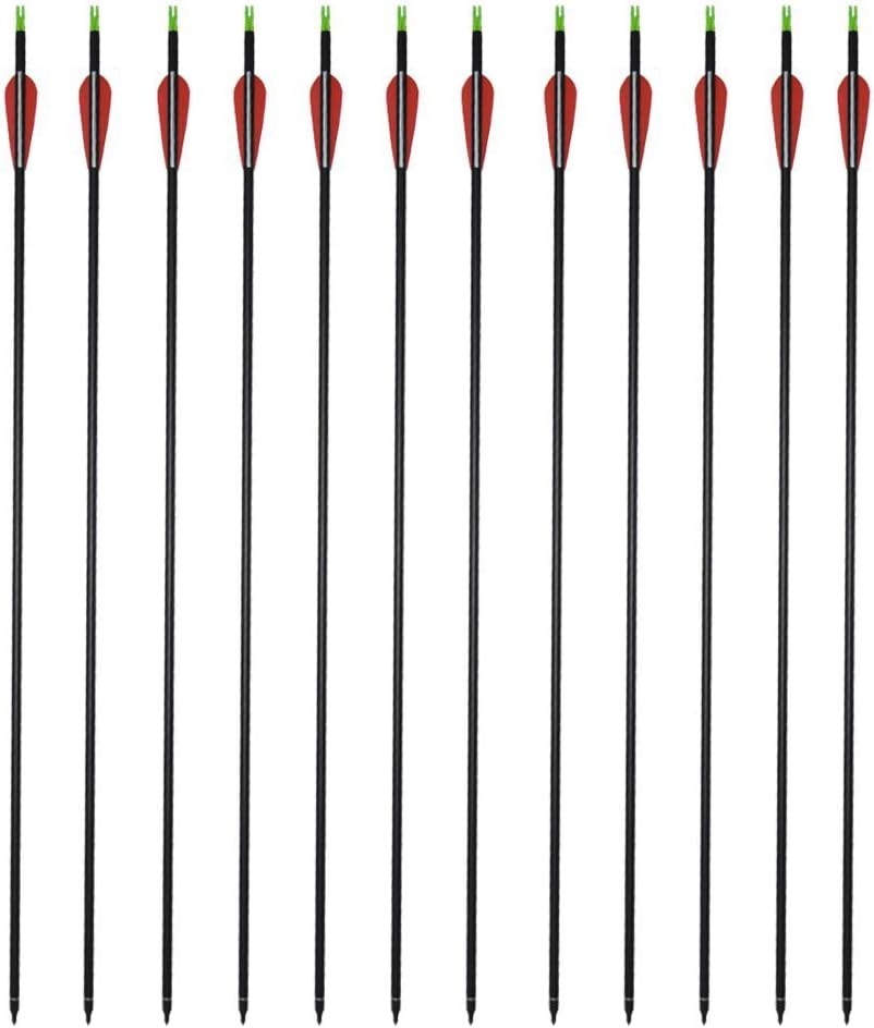 GPP Carbon 30-Inch Arrows with Field Points Replaceable Tips (12 Pack) for Recuve Bow & Compound Bow : Sports & Outdoors