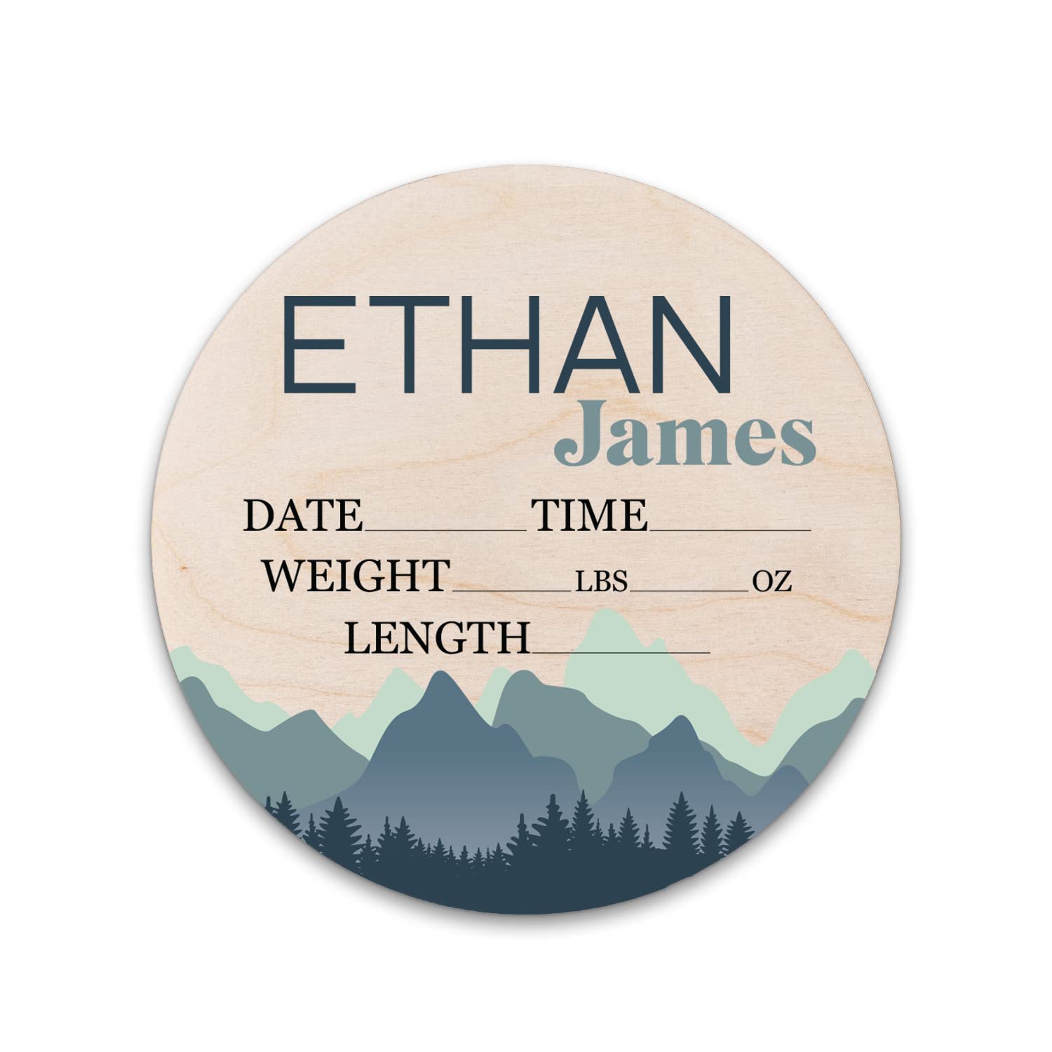 Birth Stat Sign Personalized for Newborn Baby, Ethan James Design, Crib & Nursery Decor, Photography Prop, Baby Shower Gifts, Gender Reveal, Pregnancy Announcement, Hickory Hollow Designs