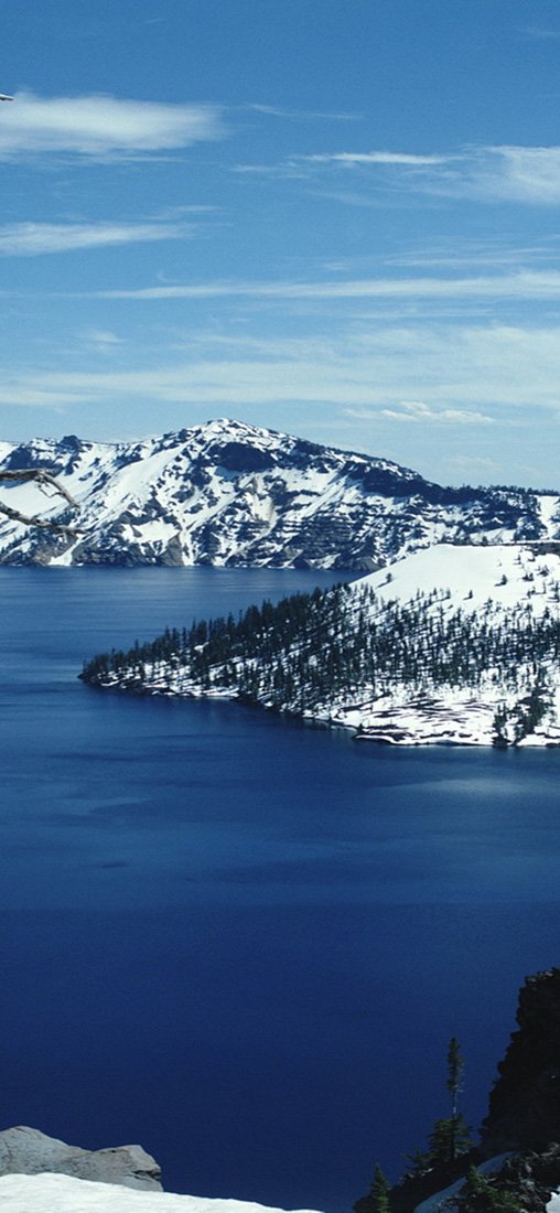 PeelitStickit, Beautiful Nature Wall Murals, ID-0870, vinyl