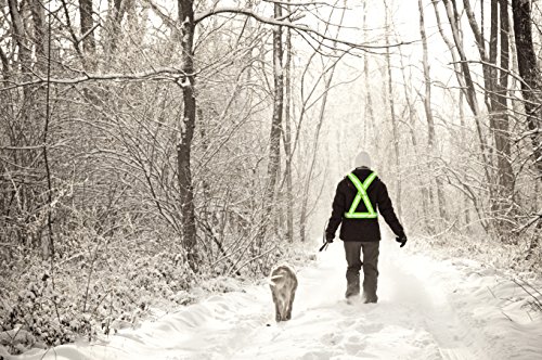 Reflective Vest with Set of Hi Vis Bands, Fully Adjustable & Multi-purpose Running Safety Vest: Night Running Gear, Cycling Gear, Motorcycle Safety, Dog Walking & More - High Visibility Neon Green