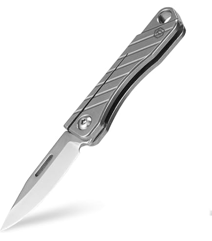Amazon.com : Cold Steel Mini Koga SD2 : Sports & Outdoors