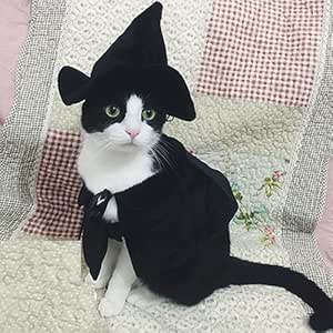 Cat witch costume Clearance