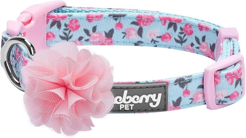 blueberry pet collars amazon