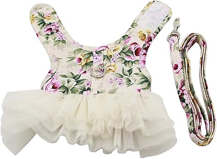Tianbin Harnais Veste Péglable Avec Laisse Motif De Doux Et