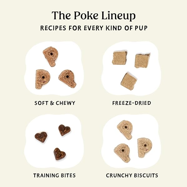 POKE’S FREEZE-DRIED DOG TREATS, BEEF LIVER RECIPE, SINGLE INGREDIENT NATURAL DOG TREATS, MADE IN USA, WHEAT-FREE, 3 OZ