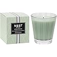 NEST New York Scented Classic Candle, Wild Mint & Eucalyptus - 8.1 oz - Up to 60-Hour Burn Time - Reusable Glass Vessel