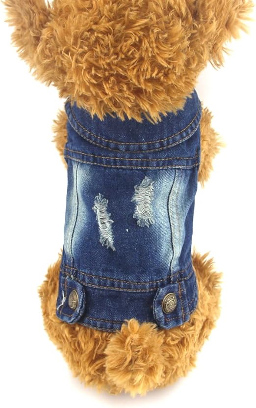 dog jean jacket amazon