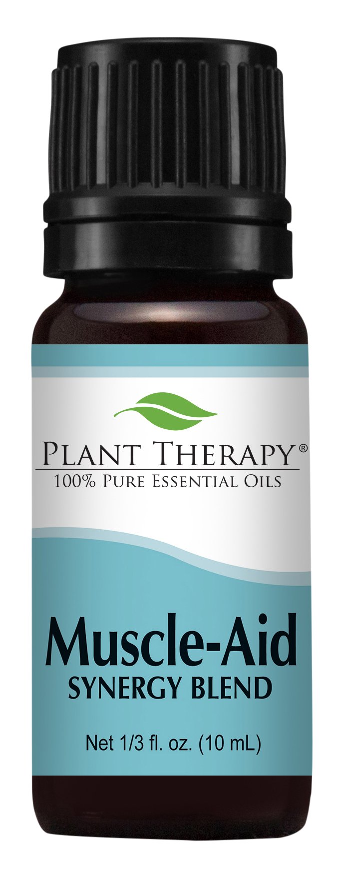 Plant Therapy Muscle Aloe Jelly 4 oz Aromatherapy Jelly