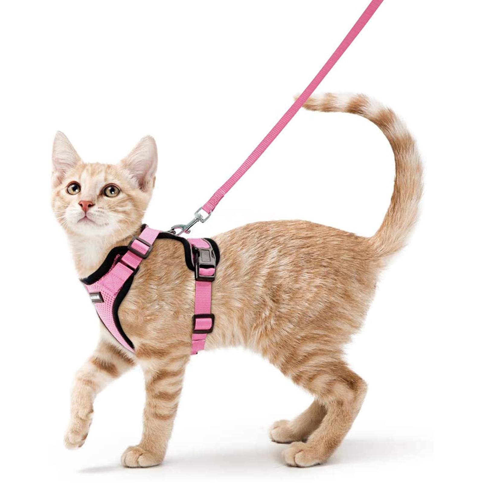 Photo 1 of rabbitgoo Cat Harness and Leash for Walking, Escape Proof Soft Adjustable Vest Harnesses for Cats, Easy Control Breathable Reflective Strips Jacket, Pink, S