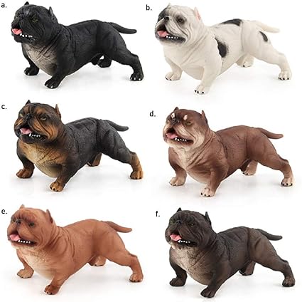 best fish for 10 gallon tank