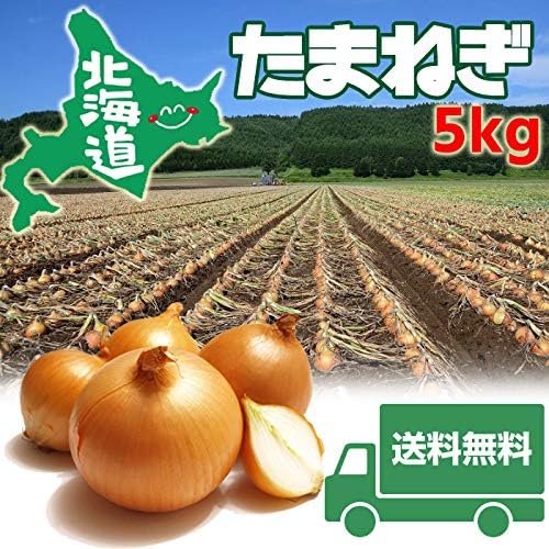 Amazon 送料無料 北海道玉ねぎ5kg 玉ねぎ産地日本一の 北海道 からお届け 甘味 旨味が断然違います ラオン商事 たまねぎ 通販