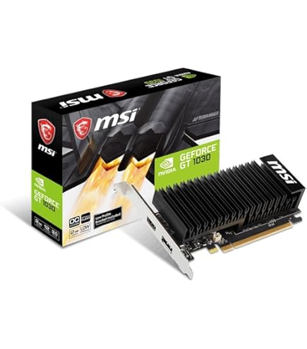 Amazon.com: MSI Graphics Card NVIDIA GEFORCE GT 1030 2GHD4 LP OC