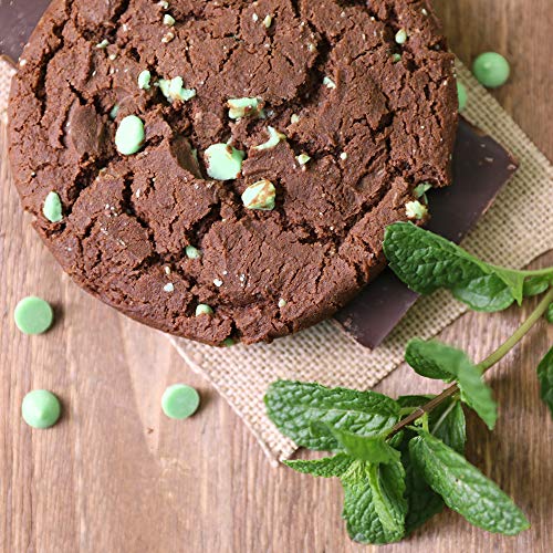 6 Lenny+Larrys+Complete+Protein+4+Ounce