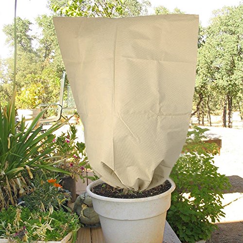 3 ETSAMOR+Protection+Polypropylene+Protecting+Freezing