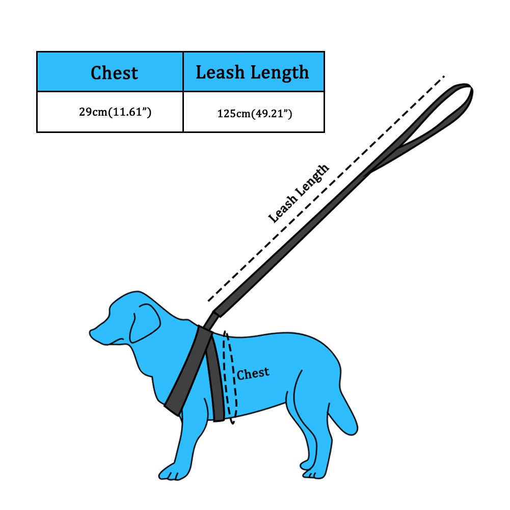 Pettorina Cane con Guinzaglio di Nylon, Durevole Regolabile Imbracatura per Cani, Guinzaglio per Portare il Cane a Passeggio, Verde