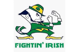 Leyland Designs Fighting Irish Sticker Outdoor Rated Vinyl Sticker Decal for Windows, Bumpers, Laptops or Crafts 5"