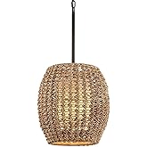 Troy Lighting F6754-BRZ Conga Pendant, 1-Light E26 Medium Base, Bronze