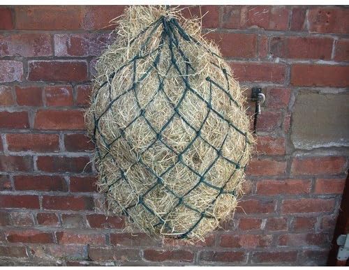 ProStable Haynet Large Holes (9 Rings) (Green)