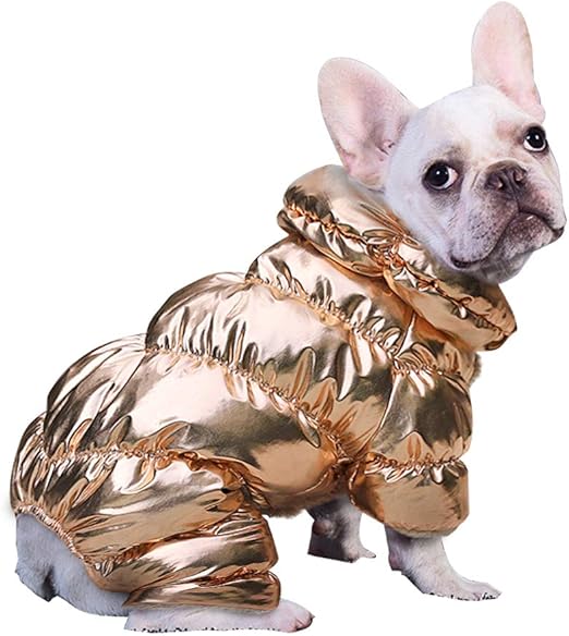 chihuahua coats