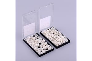 NSKR HPS 100pcs Dental Temporary Crown Veneers Material Anterior Front Back Molar Teeth