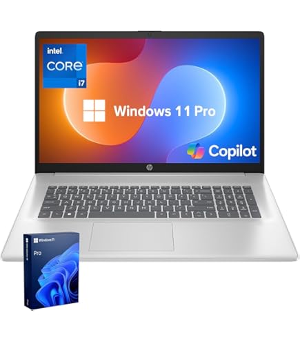 Amazon.com: HP 17 inch Touchscreen Laptop Computer Business, MS