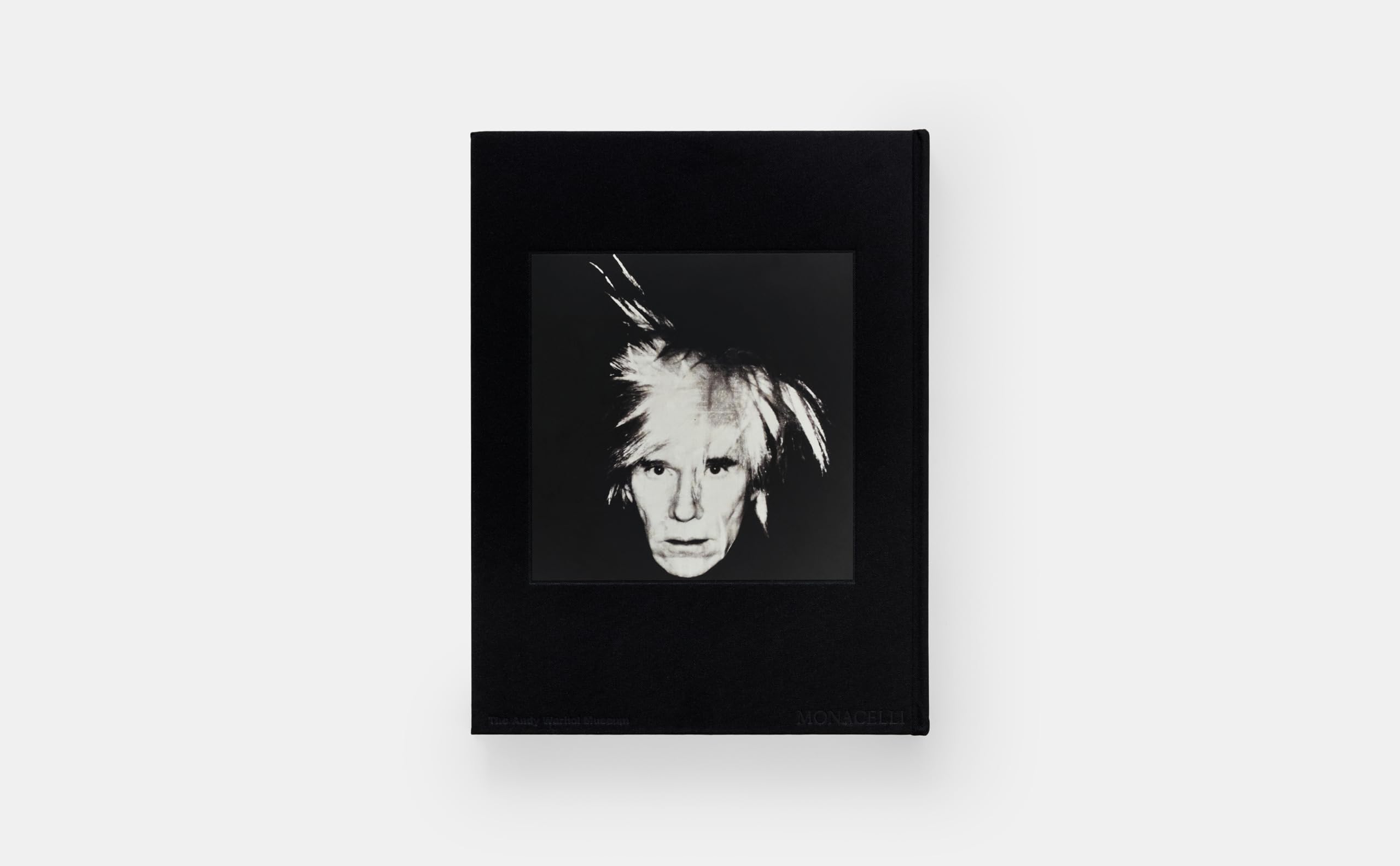 KAWS + Warhol KAWS + Warhol Hardcover