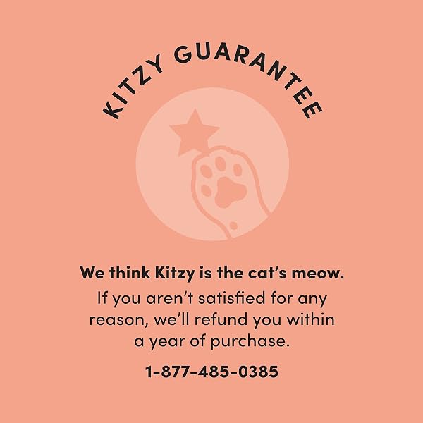 AMAZON BRAND – KITZY WET CAT FOOD, CHICKEN CUTS IN GRAVY, GRAIN FREE (KITTEN), 3 OUNCE (PACK OF 24)