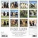 Just Labs 2019 Wall Calendar (Dog Breed Calendar)
