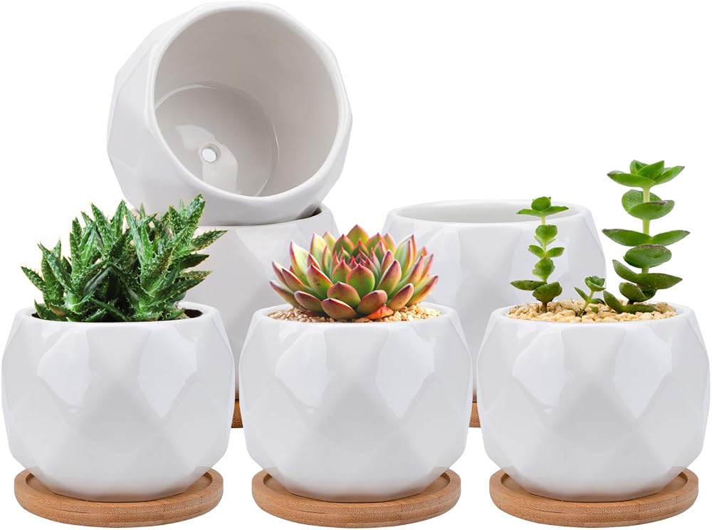 Jucoan 6 Pack Ceramic Succulent Planter Pots 10 cm White Diamond with Tray