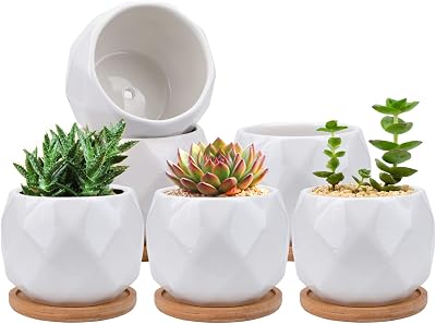 Jucoan 6 Pack Ceramic Succulent Planter Pots 10 cm White Diamond with Tray